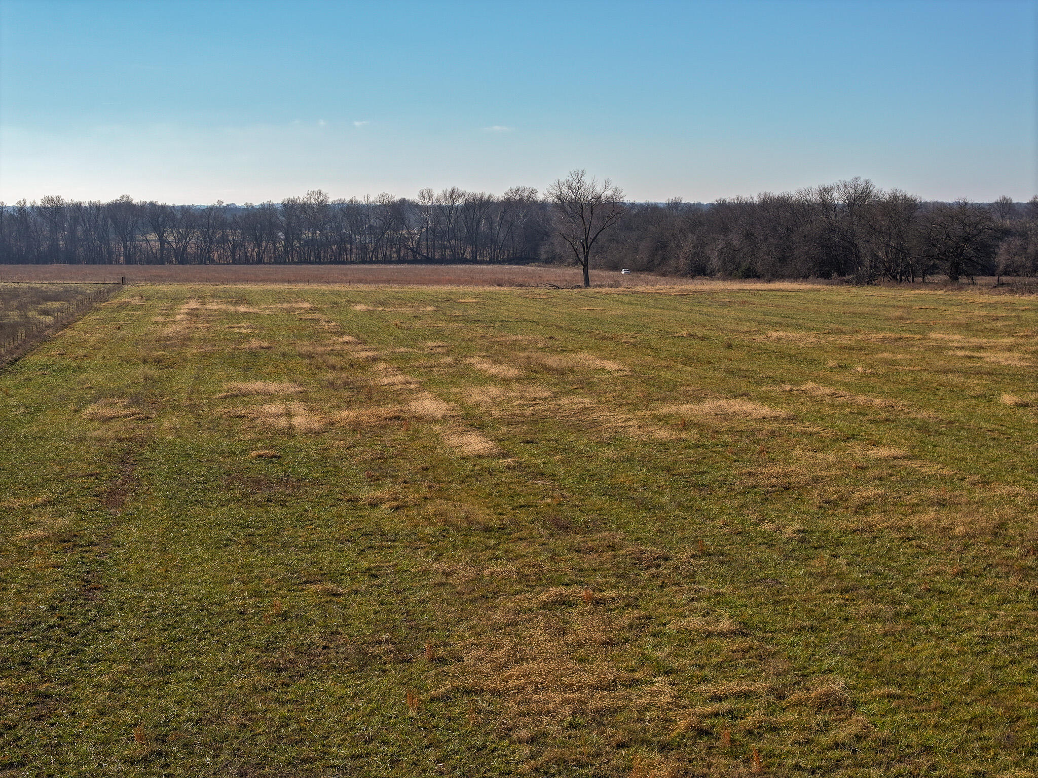 Photo 4 - Land for sale – T4 E Logan   El Dorado Springs, MO