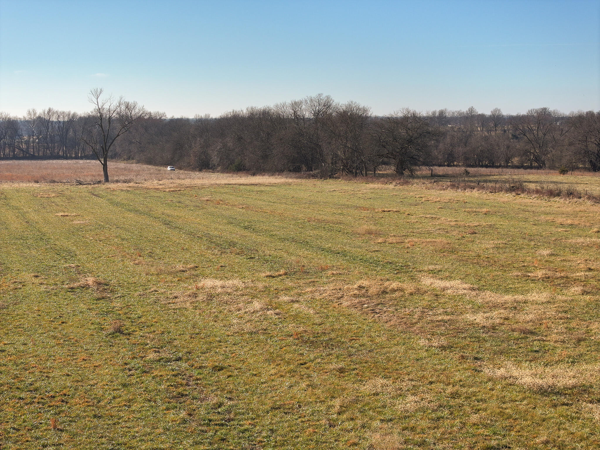 Photo 5 - Land for sale – T4 E Logan   El Dorado Springs, MO
