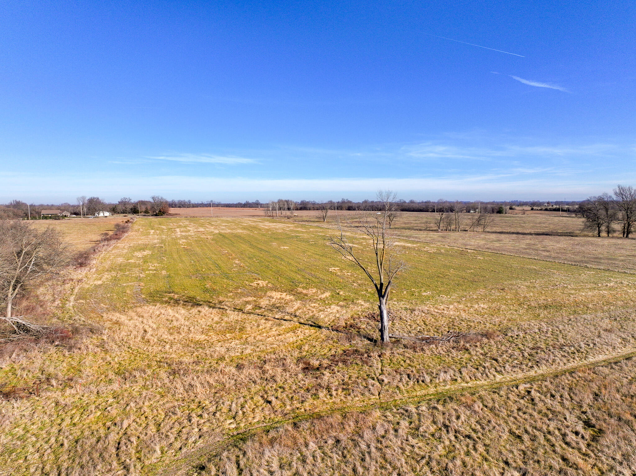 Photo 8 - Land for sale – T4 E Logan   El Dorado Springs, MO