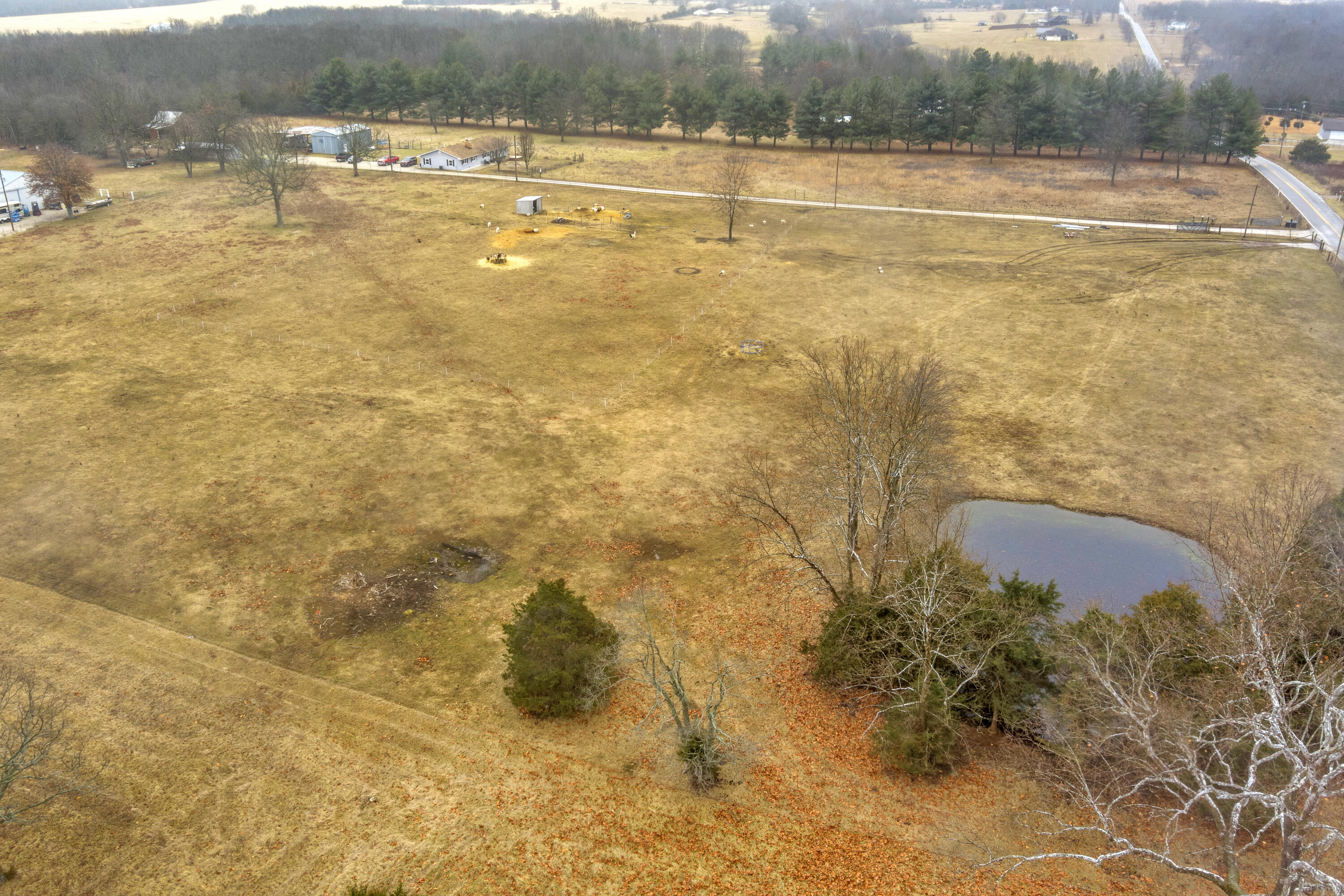 Photo 16 - Land for sale – Tract 2 N State Highway 215   Strafford, MO