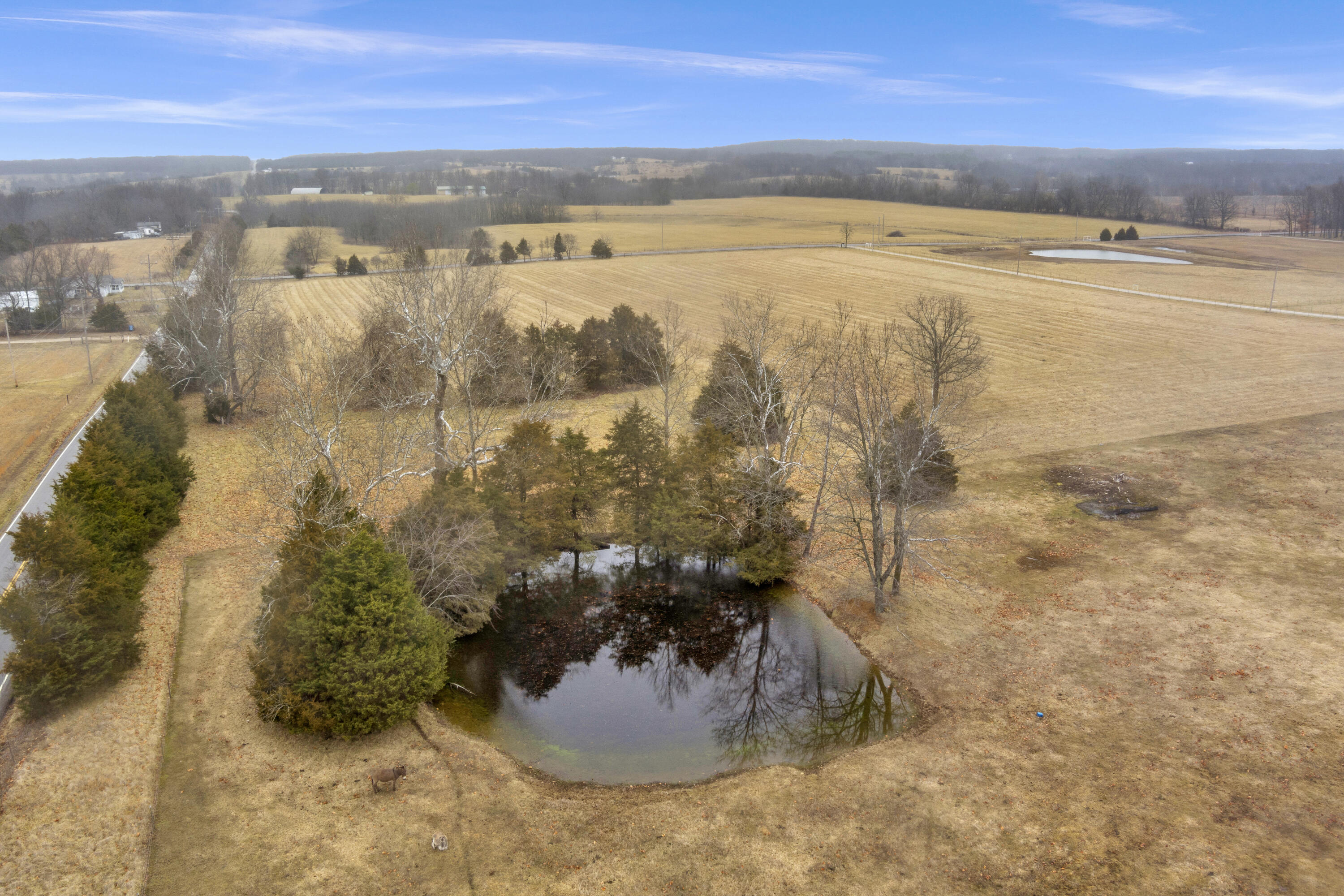 Photo 12 - Land for sale – Tract 2 N State Highway 215   Strafford, MO