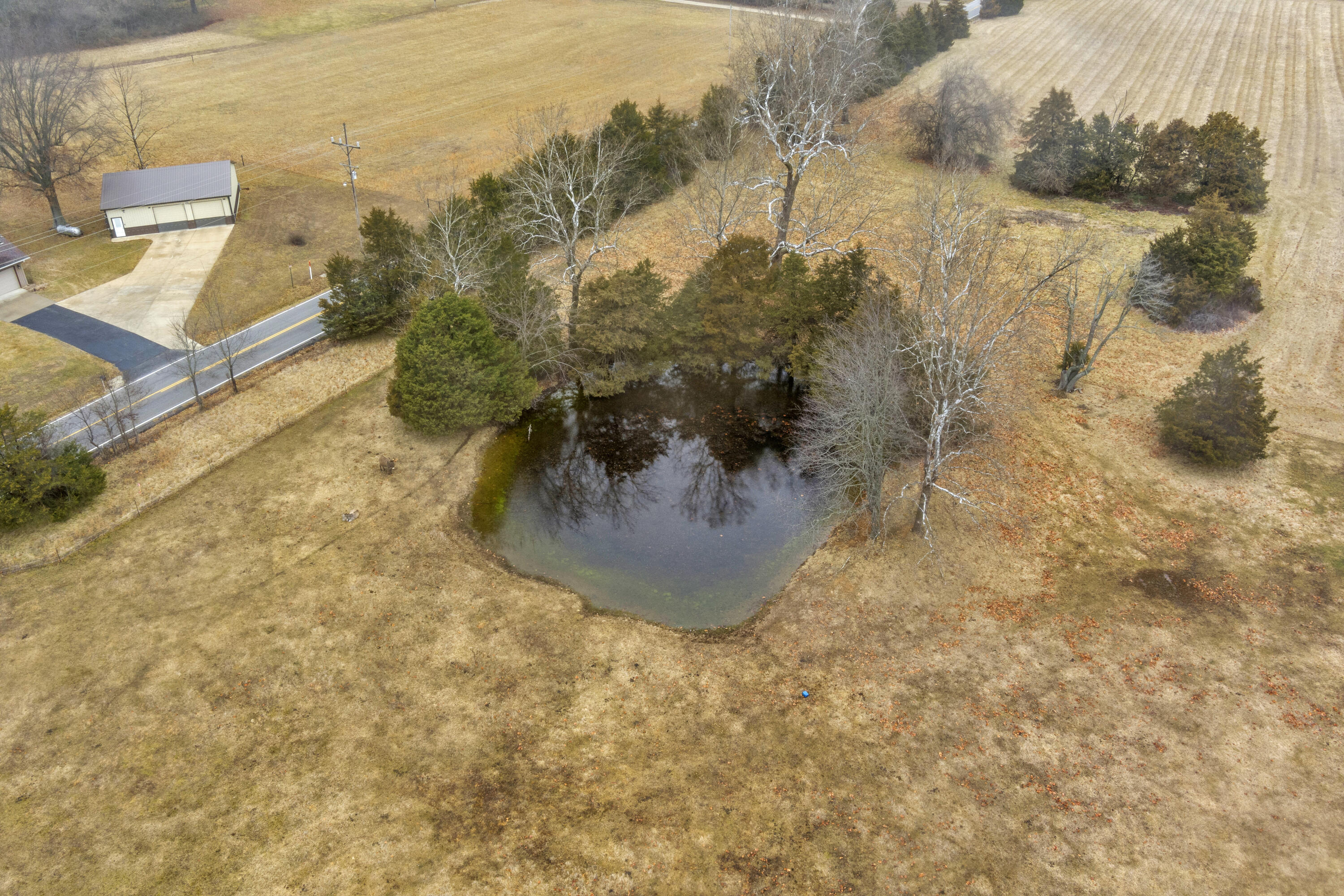 Photo 11 - Land for sale – Tract 2 N State Highway 215   Strafford, MO
