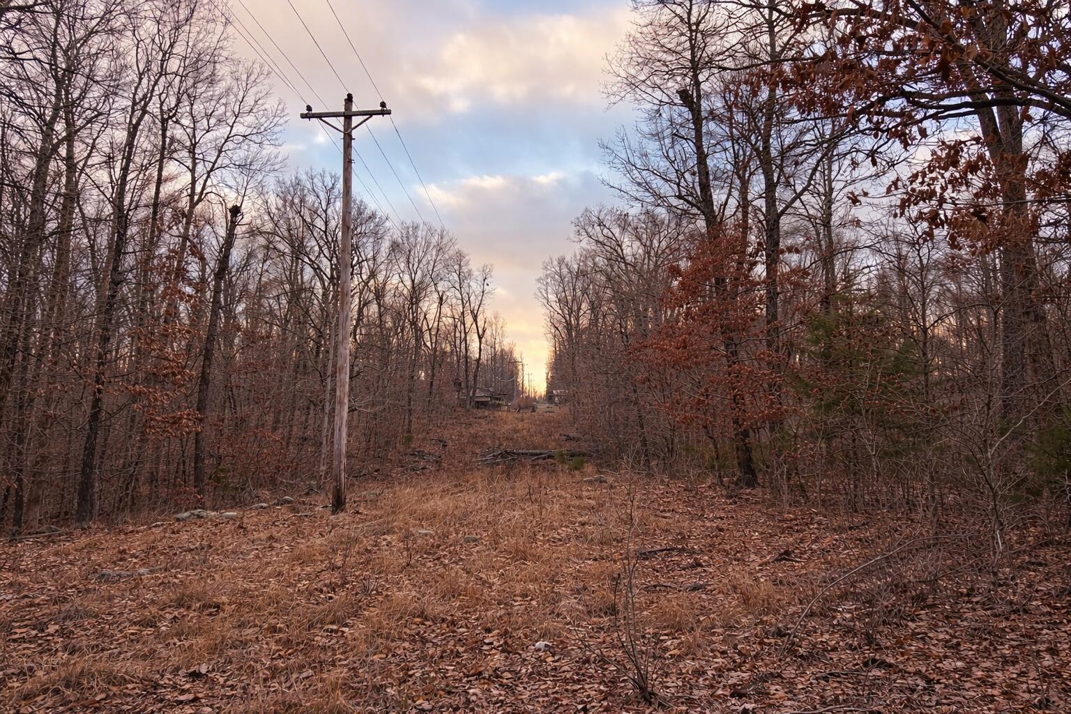 Photo 3 - Land for sale – 000  Acres Road   Williford, AR