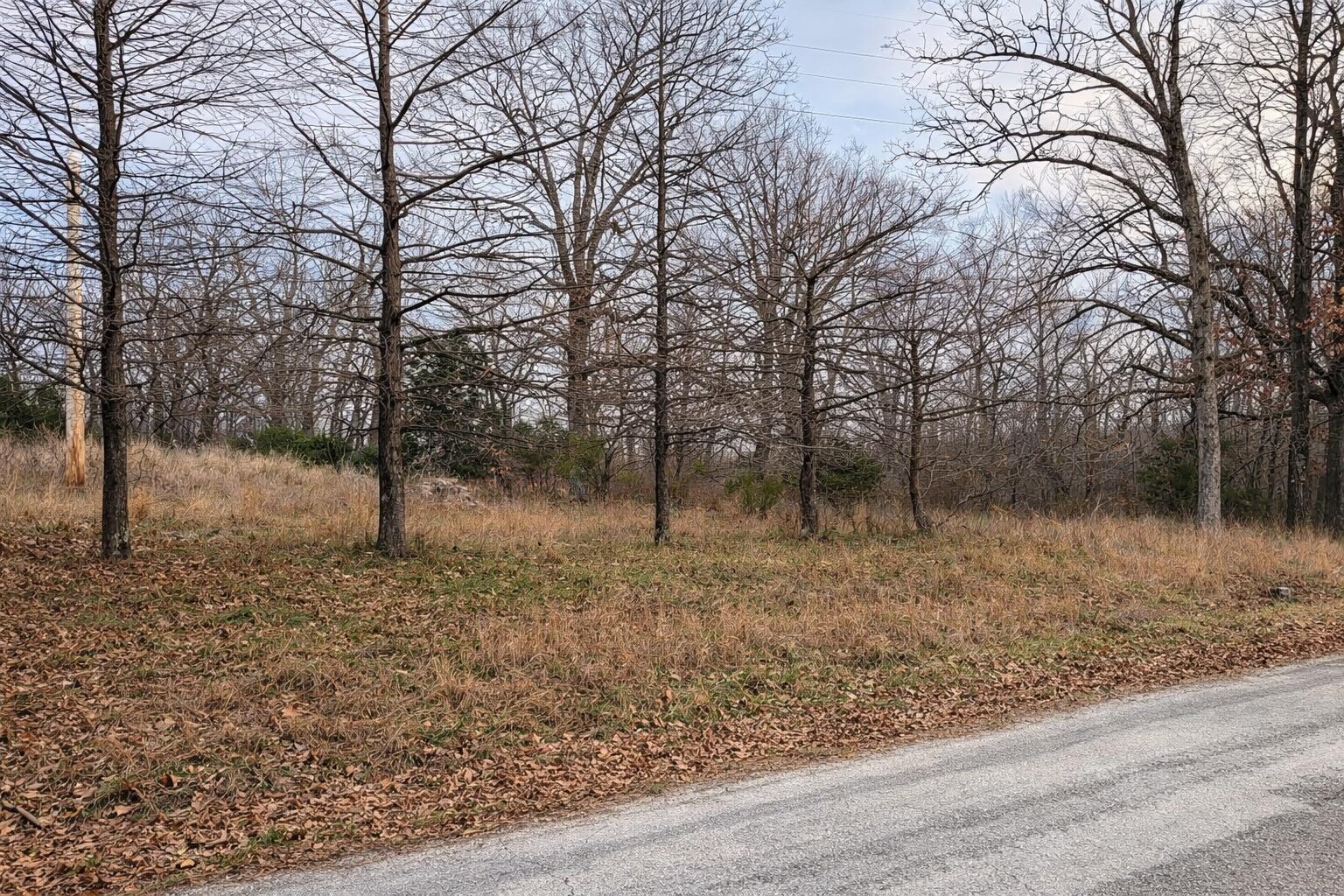 Photo 5 - Land for sale – 000  Acres Road   Williford, AR
