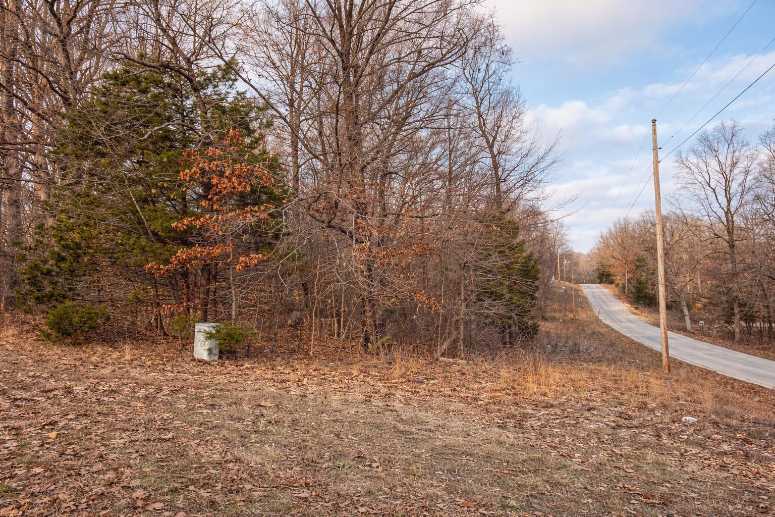 Photo 7 - Land for sale – 000  Acres Road   Williford, AR