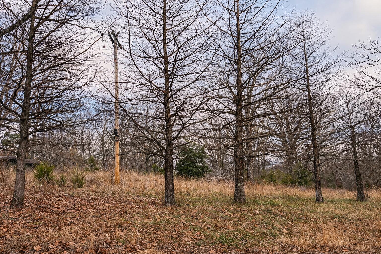Land for sale – 000  Acres Road   Williford, AR