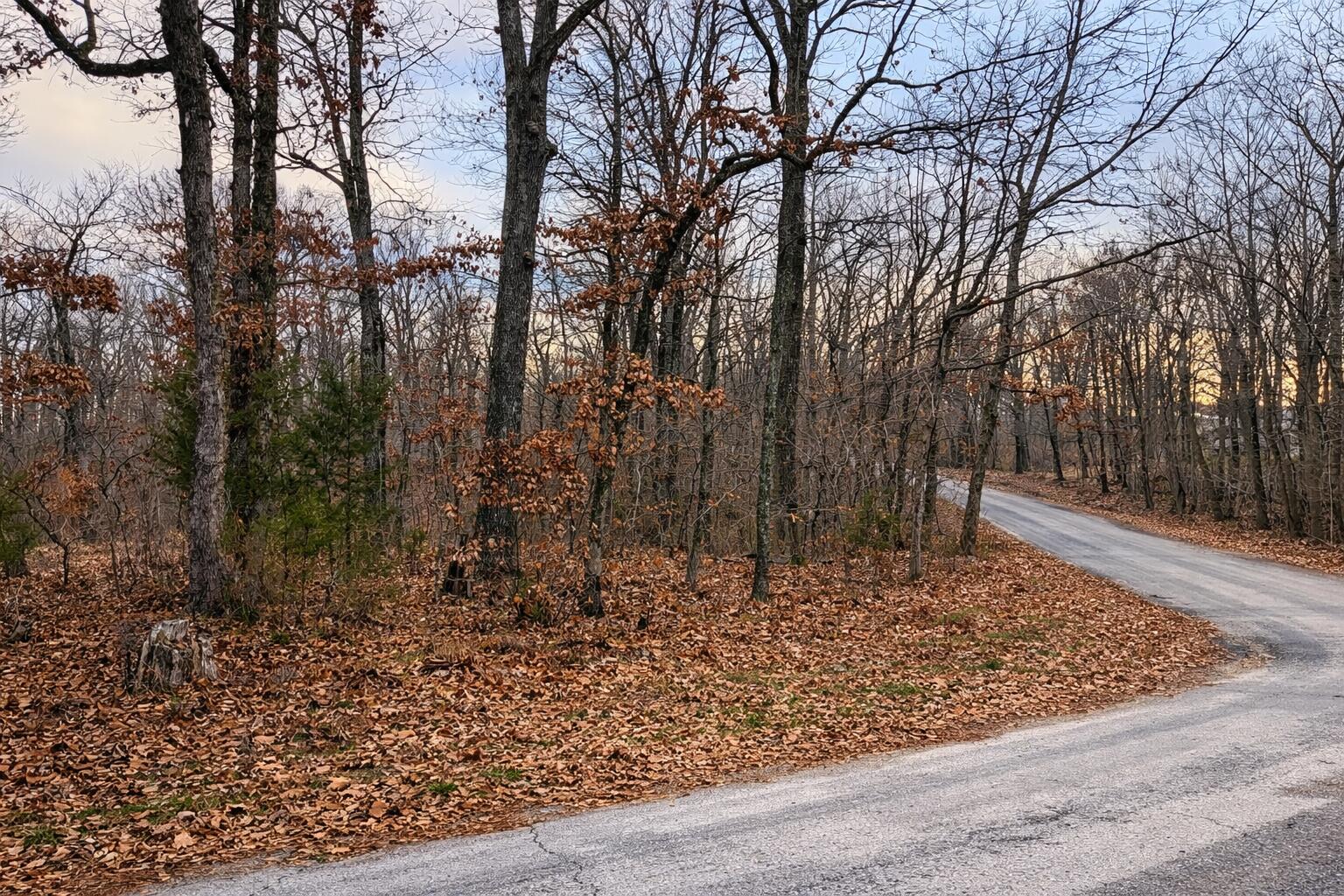 Photo 4 - Land for sale – 000  Acres Road   Williford, AR