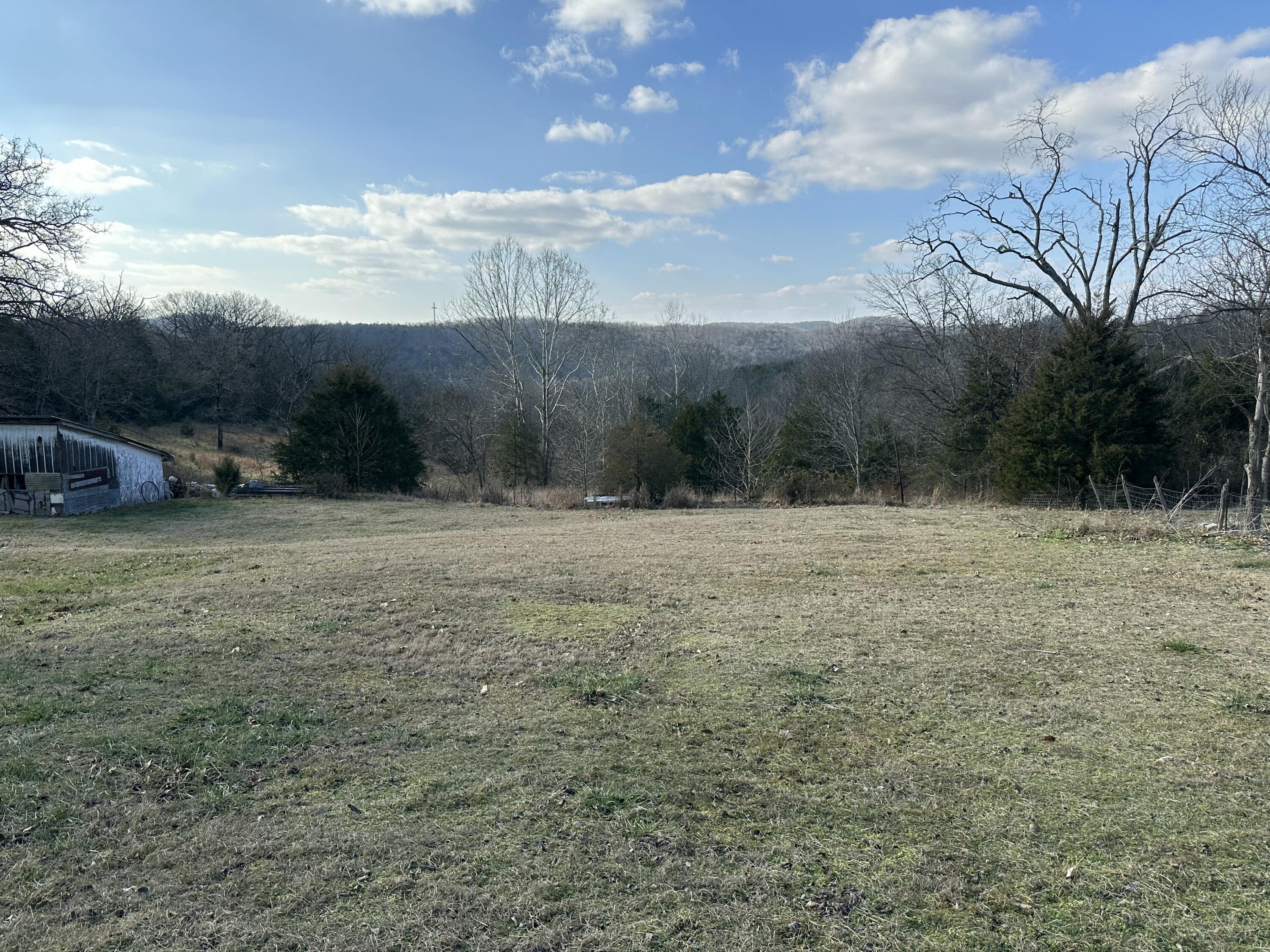Photo 42 - Residential for sale – 7565  State Highway 176   Walnut Shade, MO