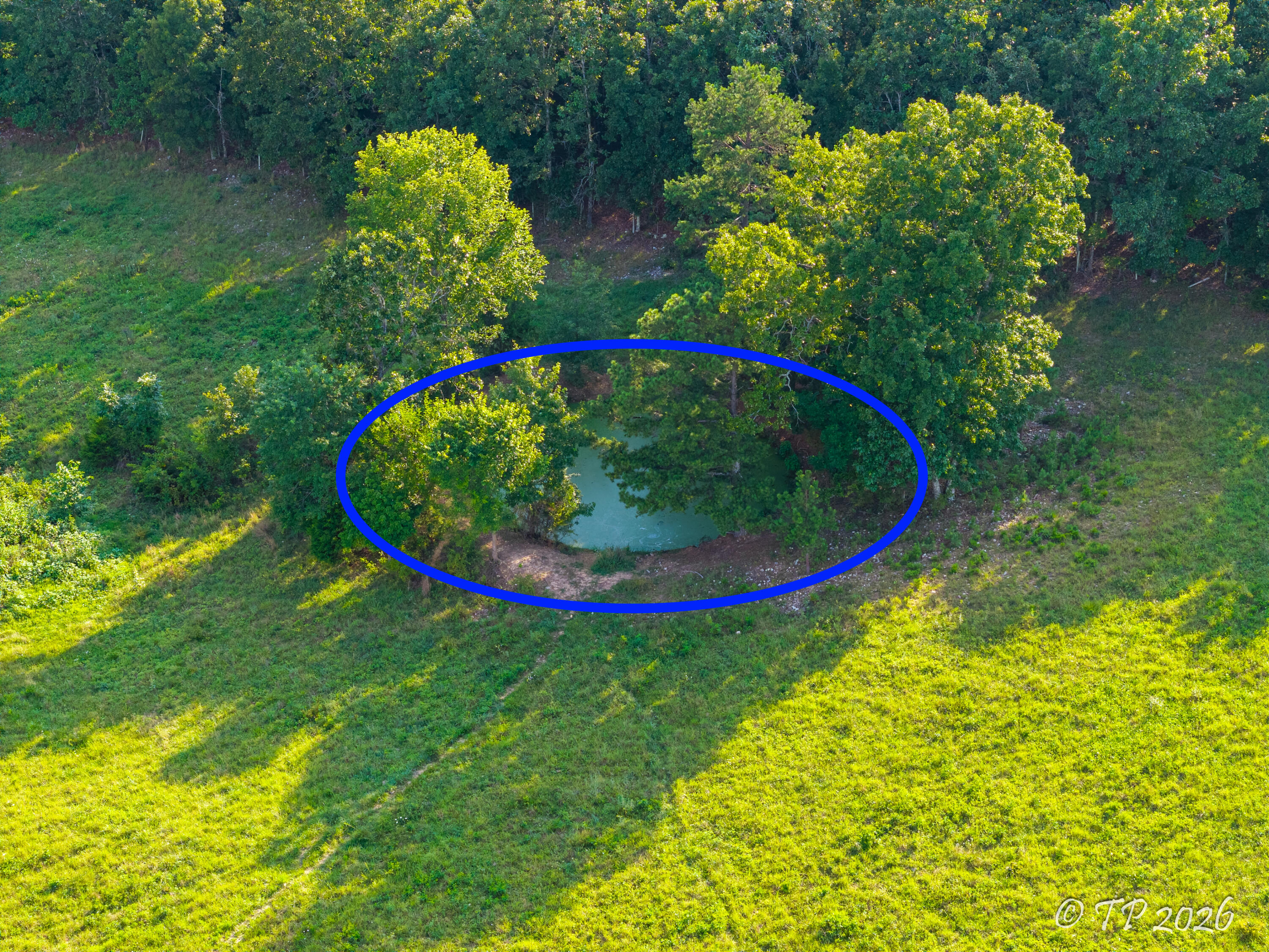 Photo 30 - Residential for sale – 7102  State Route Mm   Birch Tree, MO