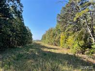 Photo 5 - Farm for sale – 9641  Crane Drive  Bucyrus, MO