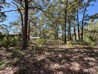Photo 10 - Farm for sale – 9641  Crane Drive  Bucyrus, MO