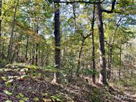 Photo 3 - Farm for sale – 9641  Crane Drive  Bucyrus, MO