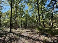 Photo 7 - Farm for sale – 9641  Crane Drive  Bucyrus, MO