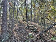Photo 6 - Farm for sale – 9641  Crane Drive  Bucyrus, MO