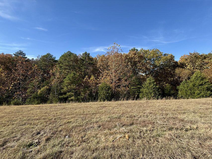 Photo 3 - Land for sale – 000  Hwy 63   Houston, MO