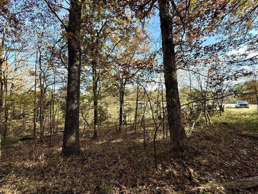 Photo 10 - Land for sale – 000  Hwy 63   Houston, MO