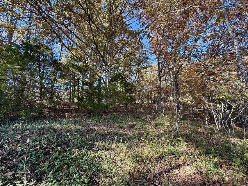 Photo 8 - Land for sale – 000  Hwy 63   Houston, MO