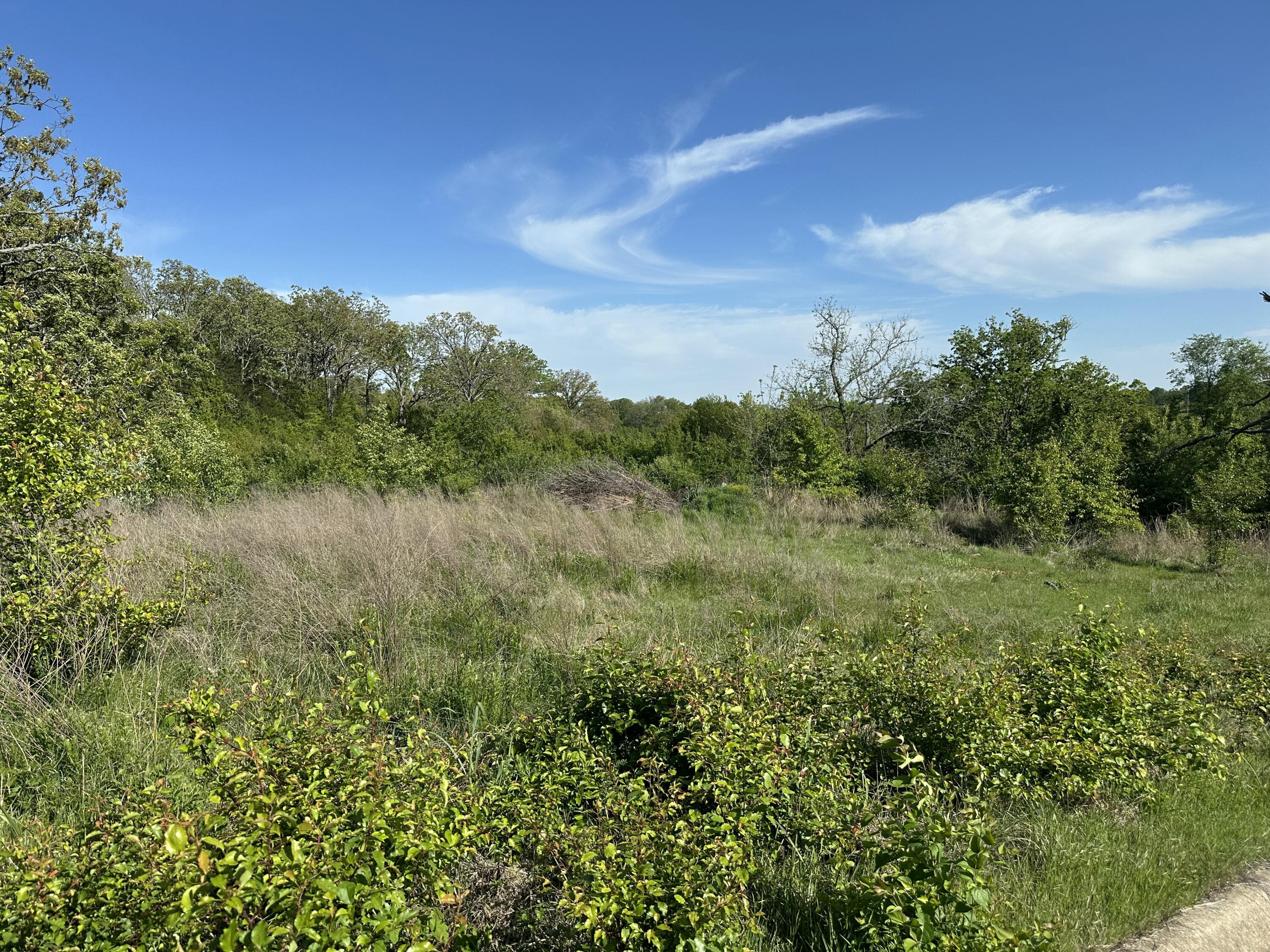 Photo 3 - Land for sale – 000  Bear Valley Drive   West Plains, MO
