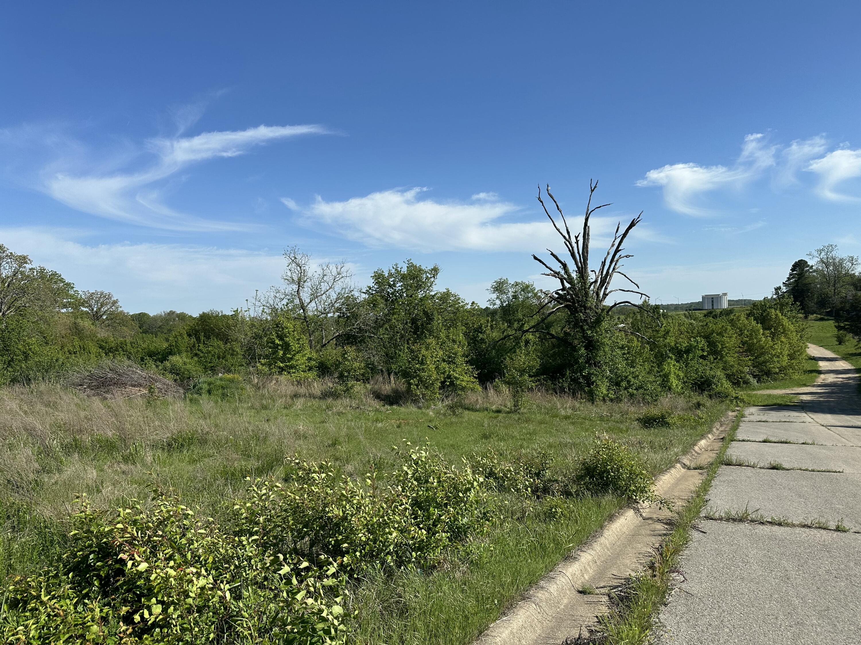 Land for sale – 000  Bear Valley Drive   West Plains, MO