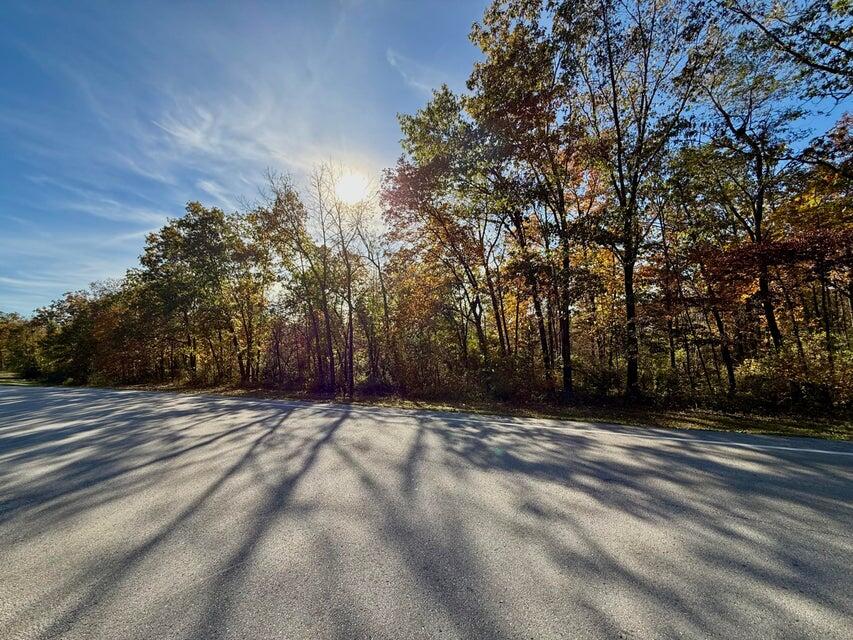 Photo 3 - Land for sale – 000  Lilly Ave. Avenue  Houston, MO