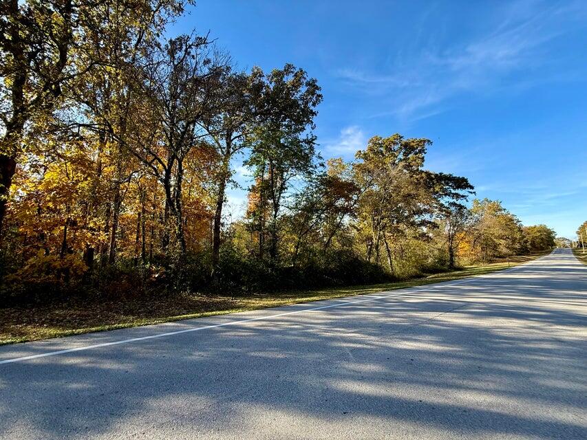 Photo 4 - Land for sale – 000  Lilly Ave. Avenue  Houston, MO