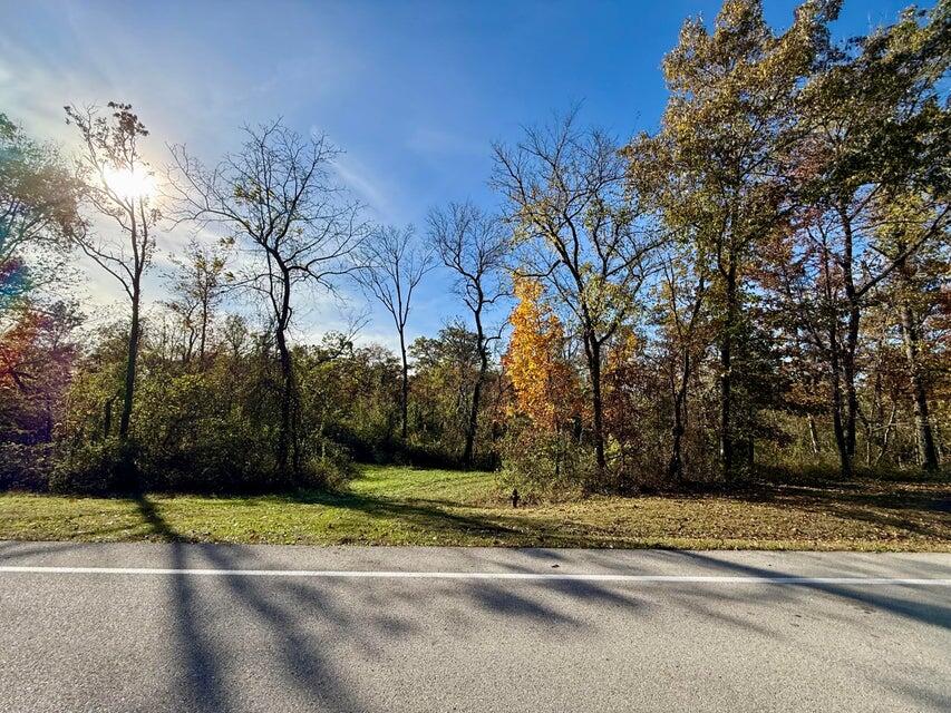Photo 6 - Land for sale – 000  Lilly Ave. Avenue  Houston, MO