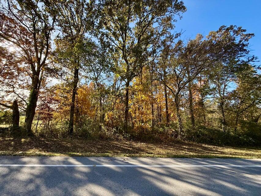 Land for sale – 000  Lilly Ave. Avenue  Houston, MO