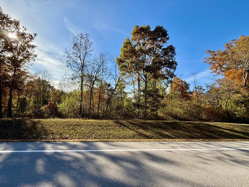 Photo 5 - Land for sale – 000  Lilly Ave. Avenue  Houston, MO