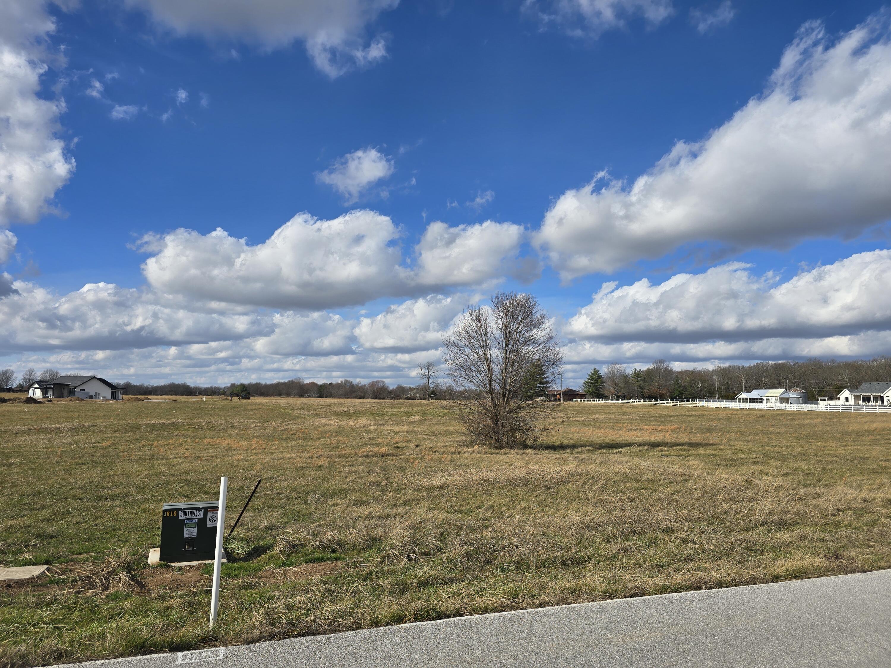 Photo 3 - Land for sale – Tract 3 N Farm Rd 211   Springfield, MO