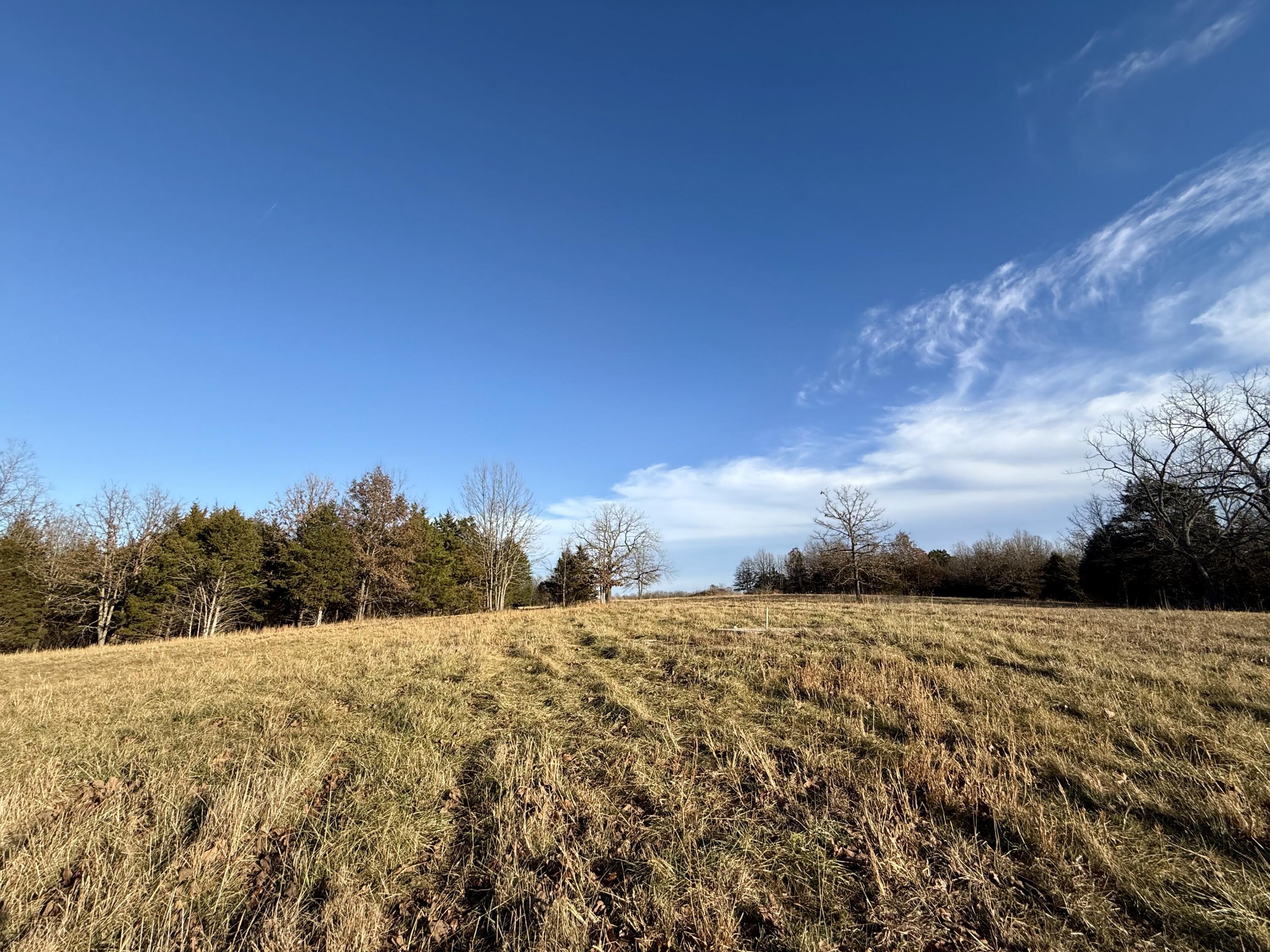 Photo 5 - Land for sale – 45972  Hwy 72 Tract 5   Salem, MO