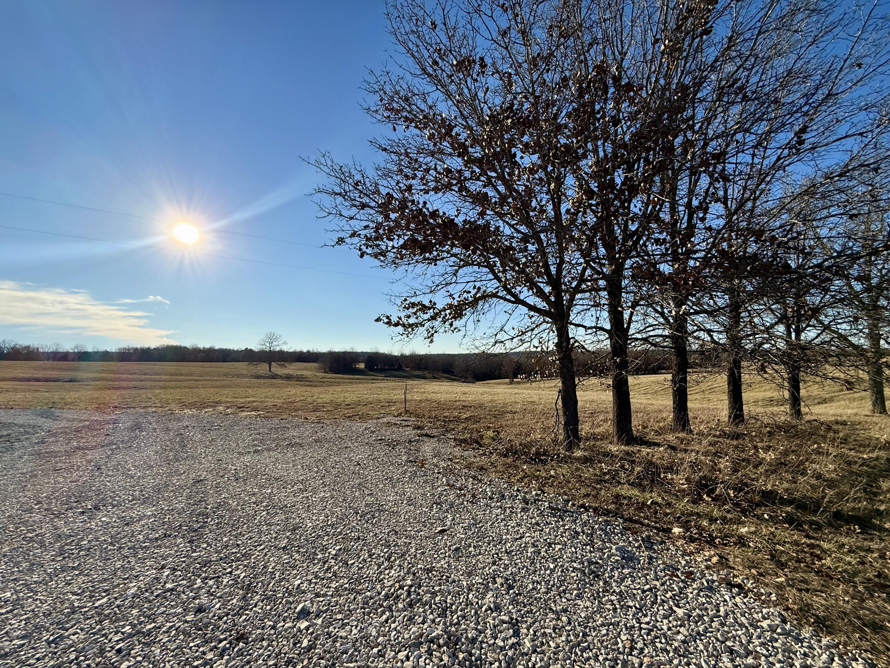 Photo 10 - Land for sale – 45972  Hwy 72 Tract 5   Salem, MO