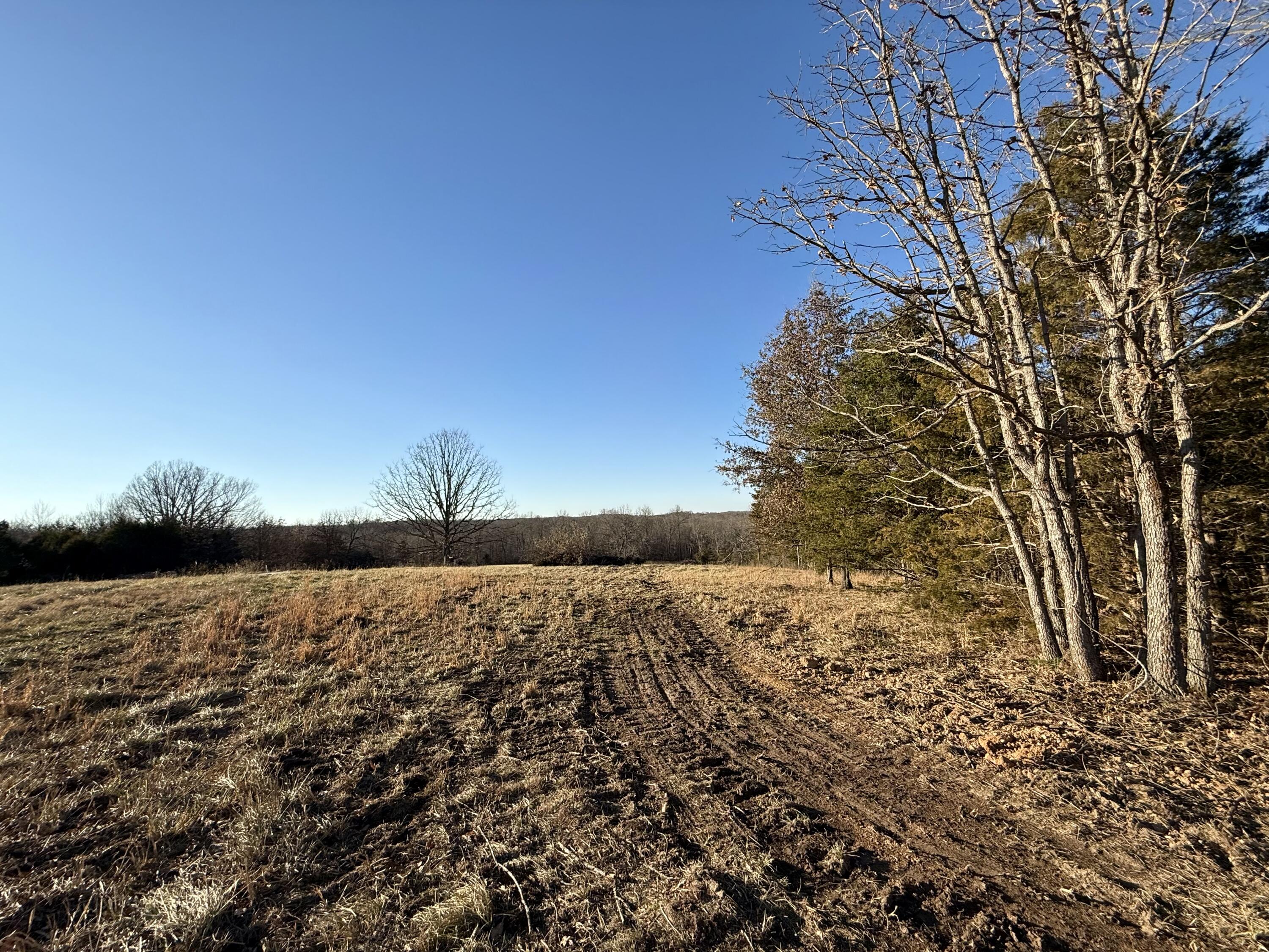 Photo 4 - Land for sale – 45972  Hwy 72 Tract 5   Salem, MO