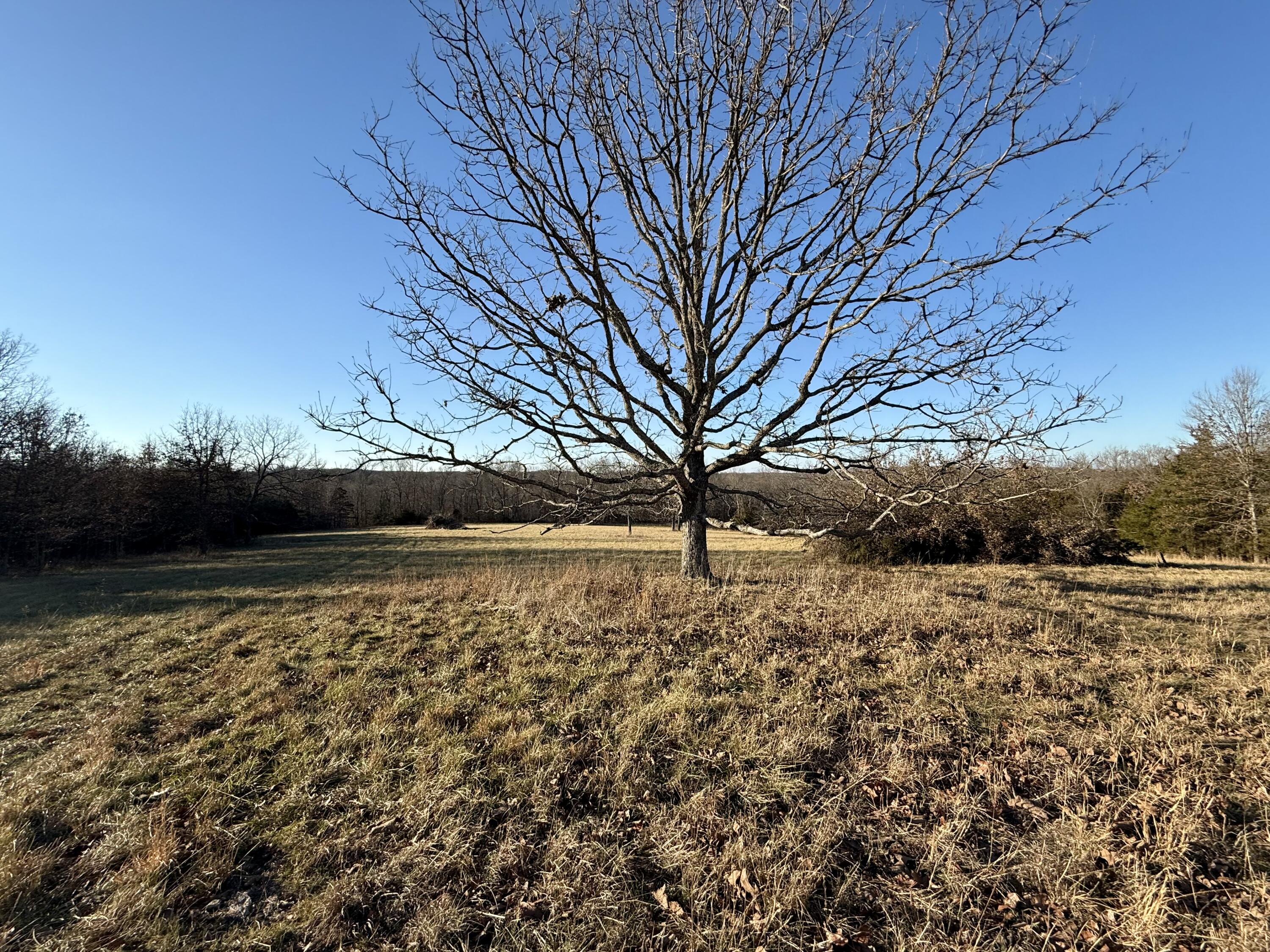 Land for sale – 45972  Hwy 72 Tract 5   Salem, MO