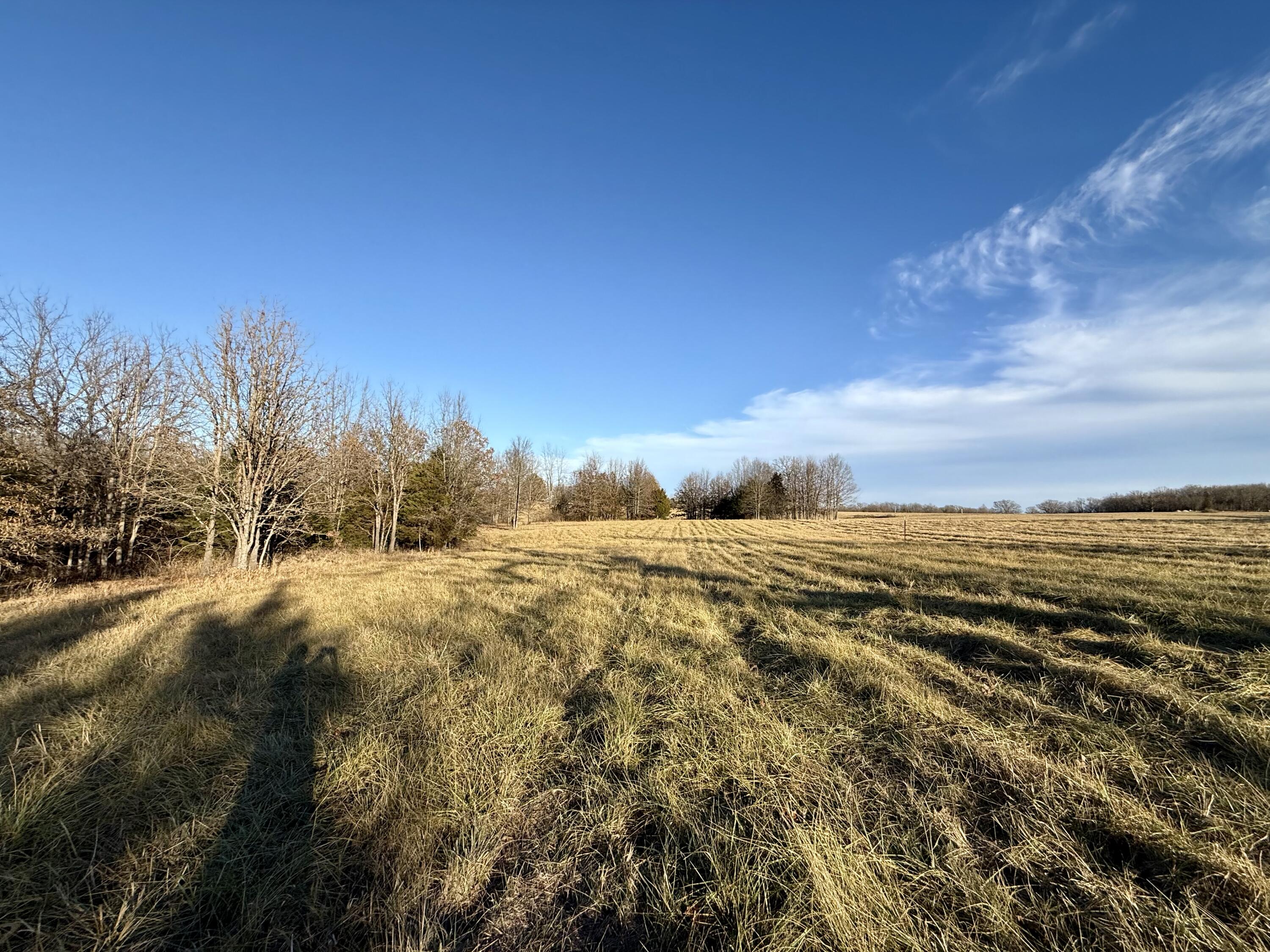 Photo 3 - Land for sale – 45972  Hwy 72 Tract 5   Salem, MO