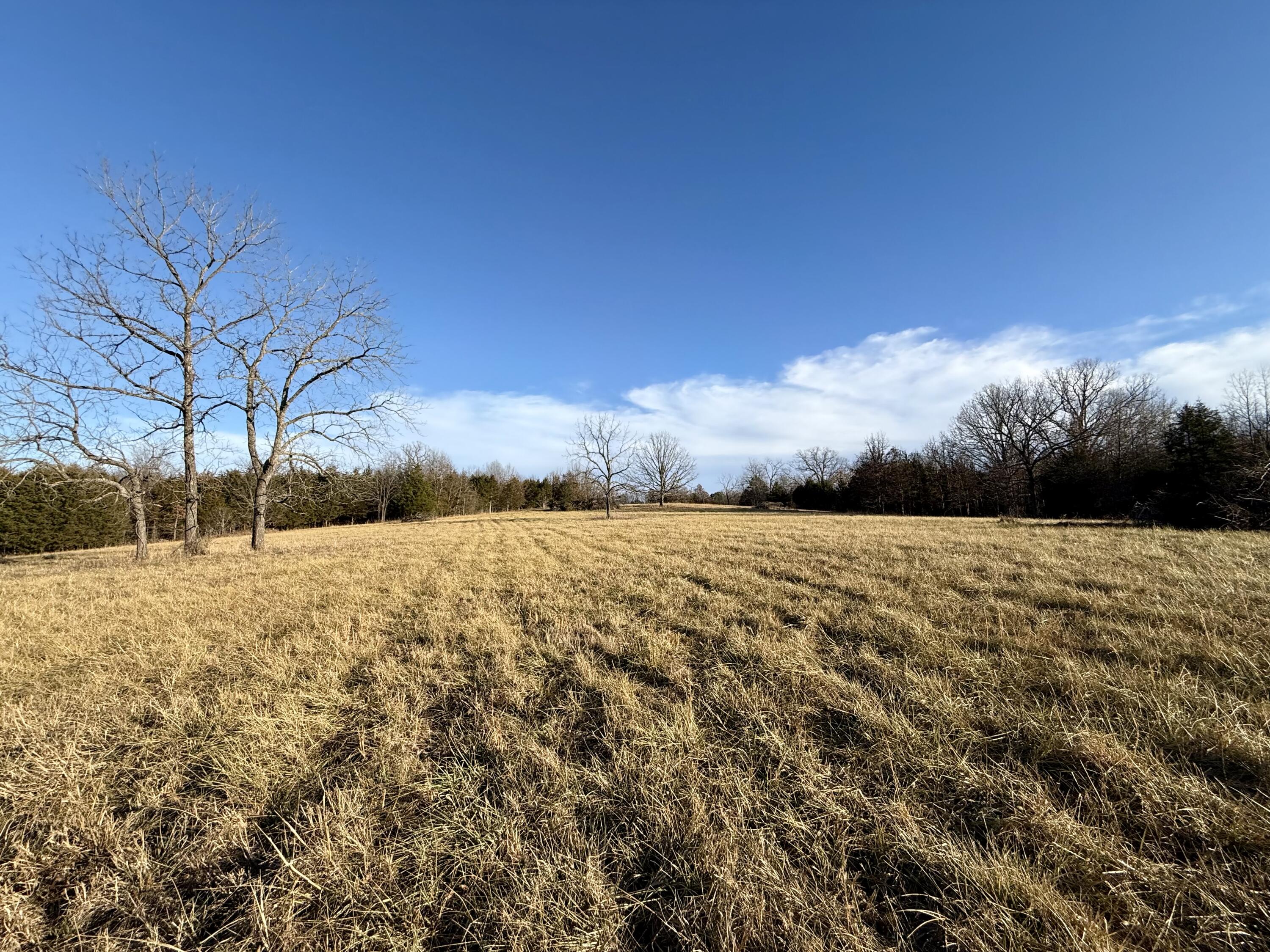 Photo 8 - Land for sale – 45972  Hwy 72 Tract 5   Salem, MO