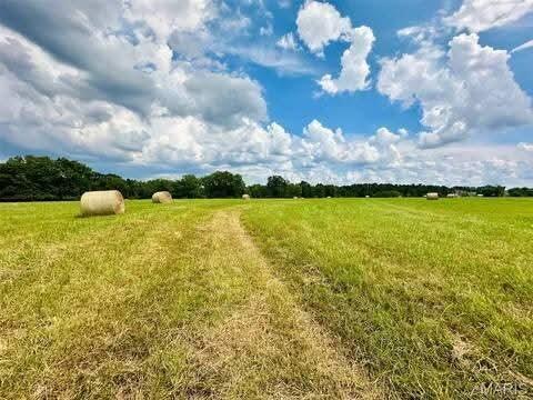 Photo 4 - Land for sale – 000  Airport & Spruce   Houston, MO