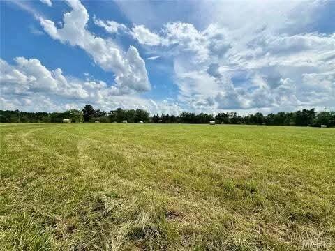 Photo 6 - Land for sale – 000  Airport & Spruce   Houston, MO