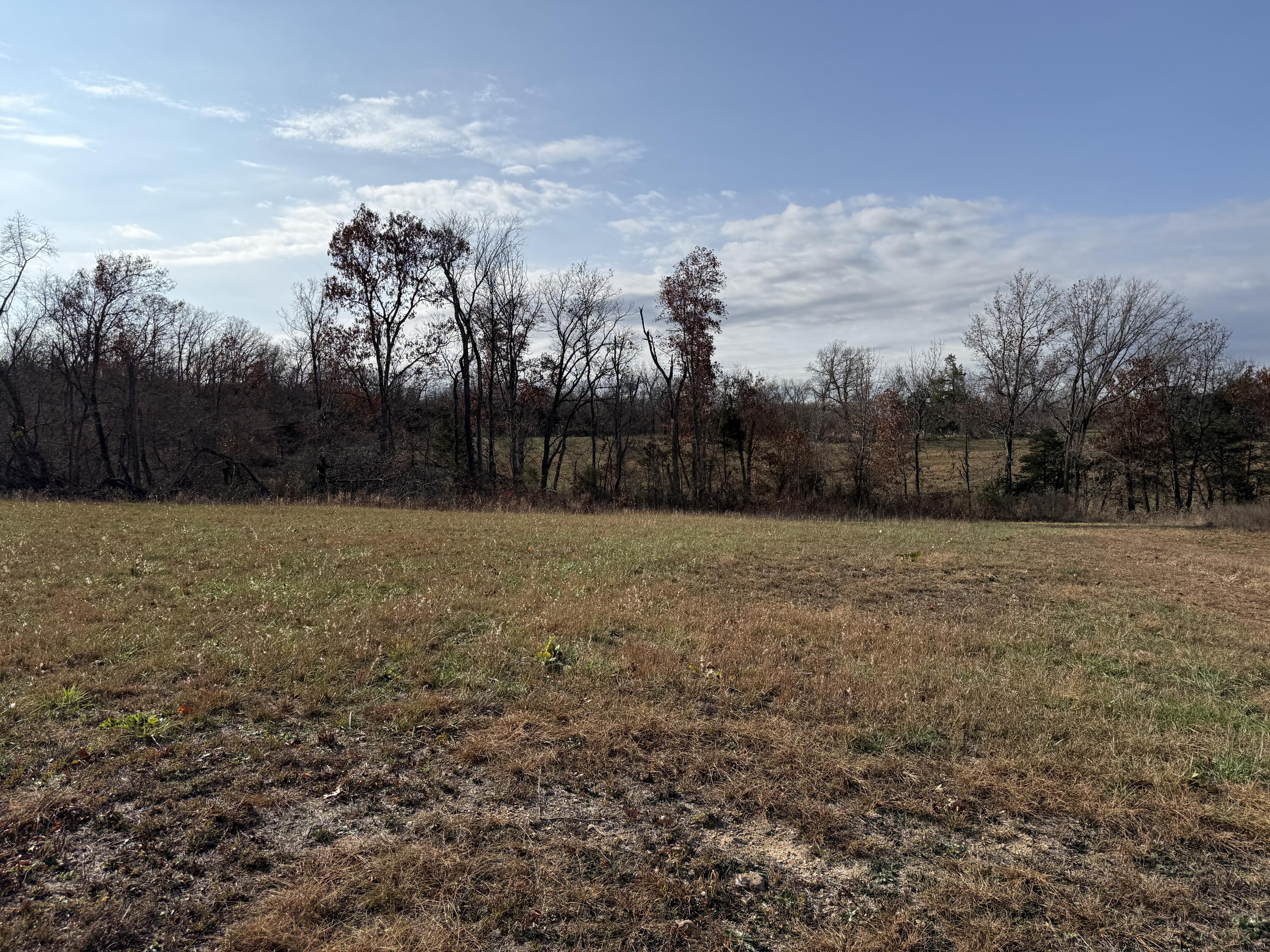Photo 41 - Residential for sale – 13342  Prairie Creek   Plato, MO