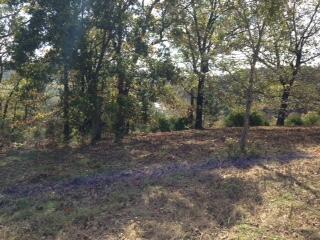 Photo 14 - Land for sale – Tbd  State Highway Aa   Crane, MO