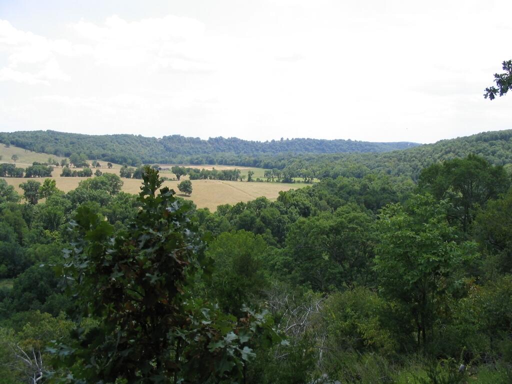 Photo 13 - Land for sale – Tbd  State Highway Aa   Crane, MO