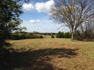 Photo 4 - Land for sale – Tbd  State Highway Aa   Crane, MO