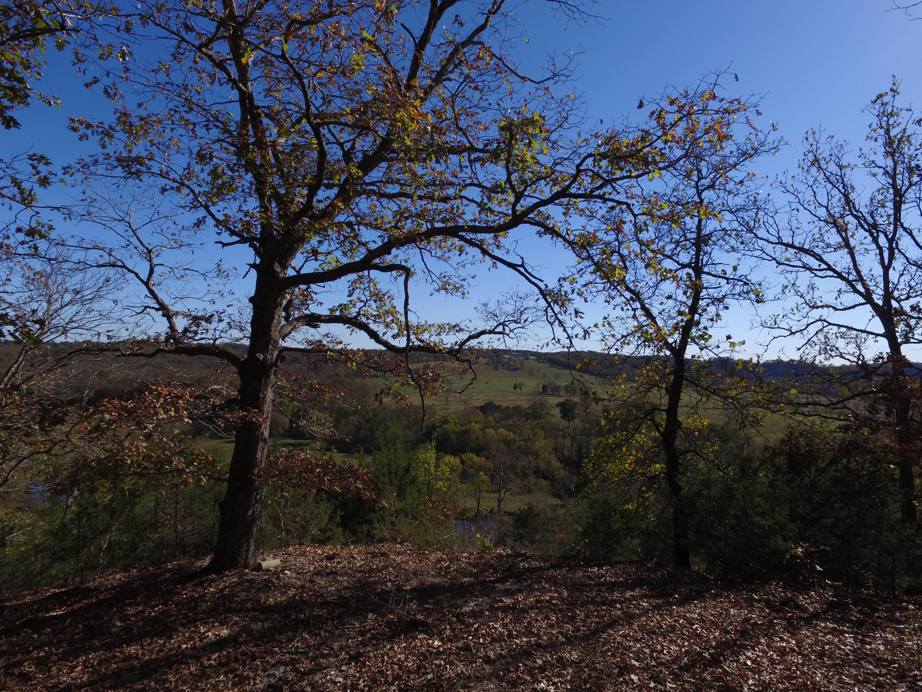 Photo 6 - Land for sale – Tbd  State Highway Aa   Crane, MO