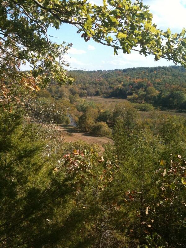 Photo 2 - Land for sale – Tbd  State Highway Aa   Crane, MO