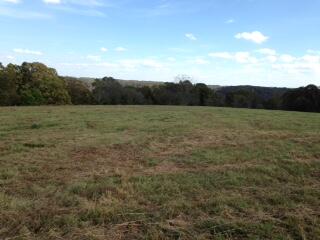Photo 3 - Land for sale – Tbd  State Highway Aa   Crane, MO