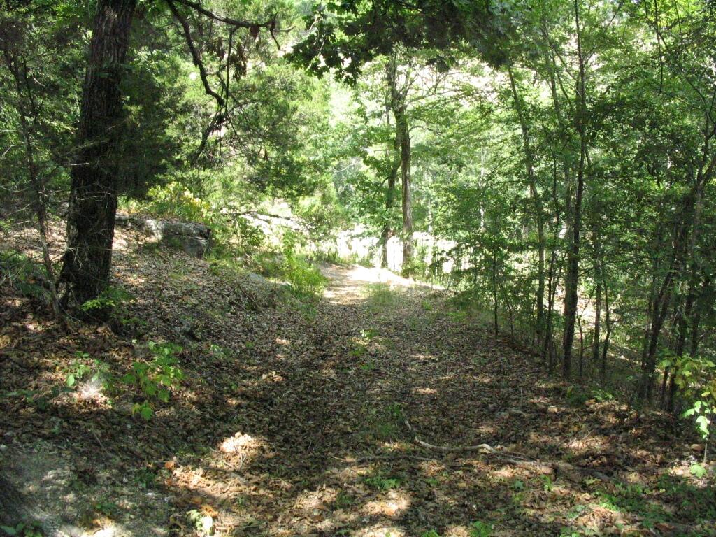 Photo 9 - Land for sale – Tbd  State Highway Aa   Crane, MO