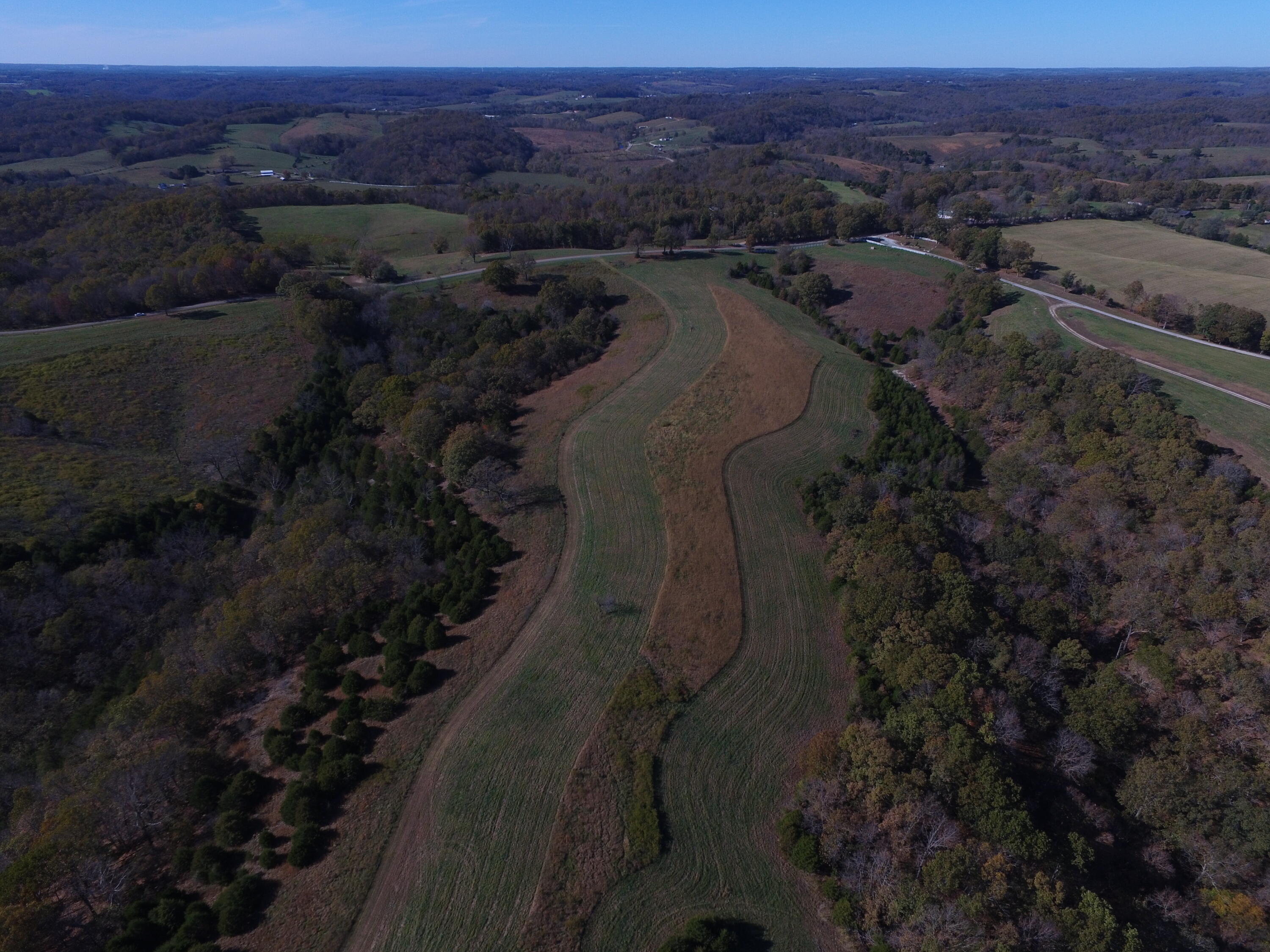 Photo 12 - Land for sale – Tbd  State Highway Aa   Crane, MO