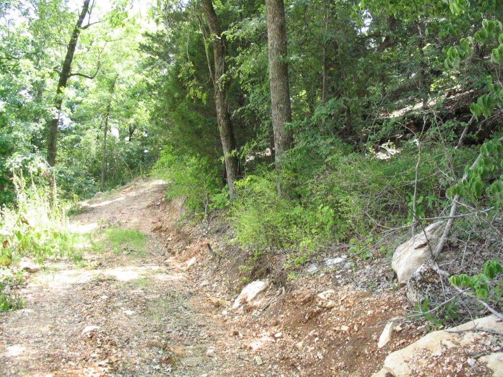 Photo 10 - Land for sale – Tbd  State Highway Aa   Crane, MO