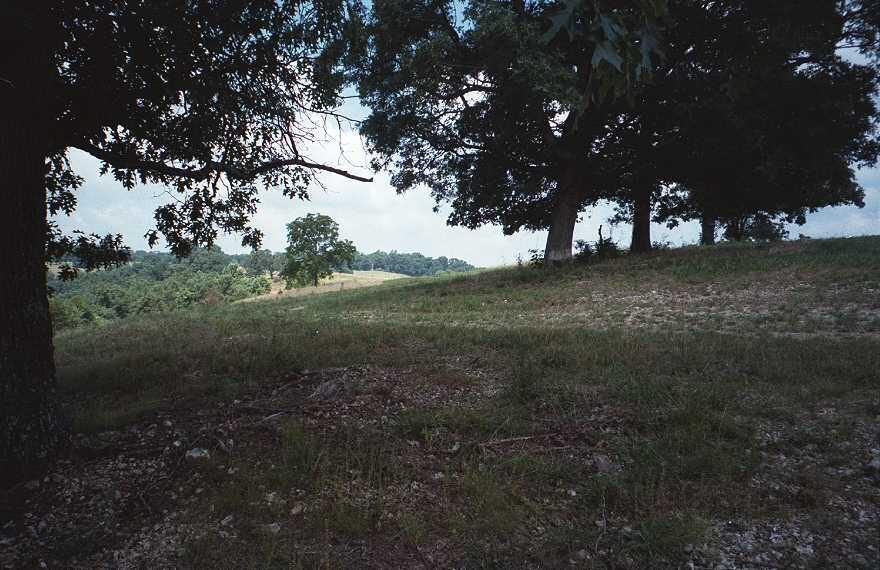 Photo 8 - Land for sale – Tbd  State Highway Aa   Crane, MO