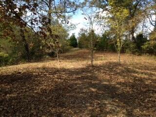 Photo 5 - Land for sale – Tbd  State Highway Aa   Crane, MO