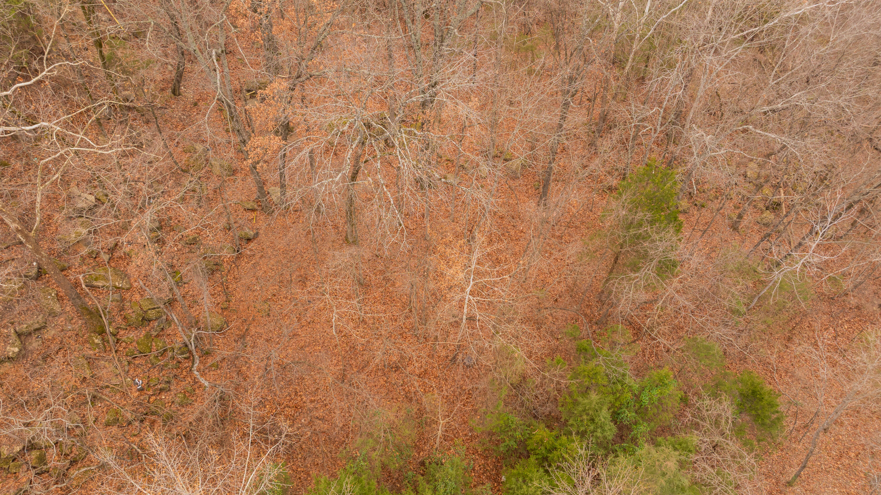 Photo 6 - Land for sale – 1125/1127 W 76 Country Boulevard  Branson, MO